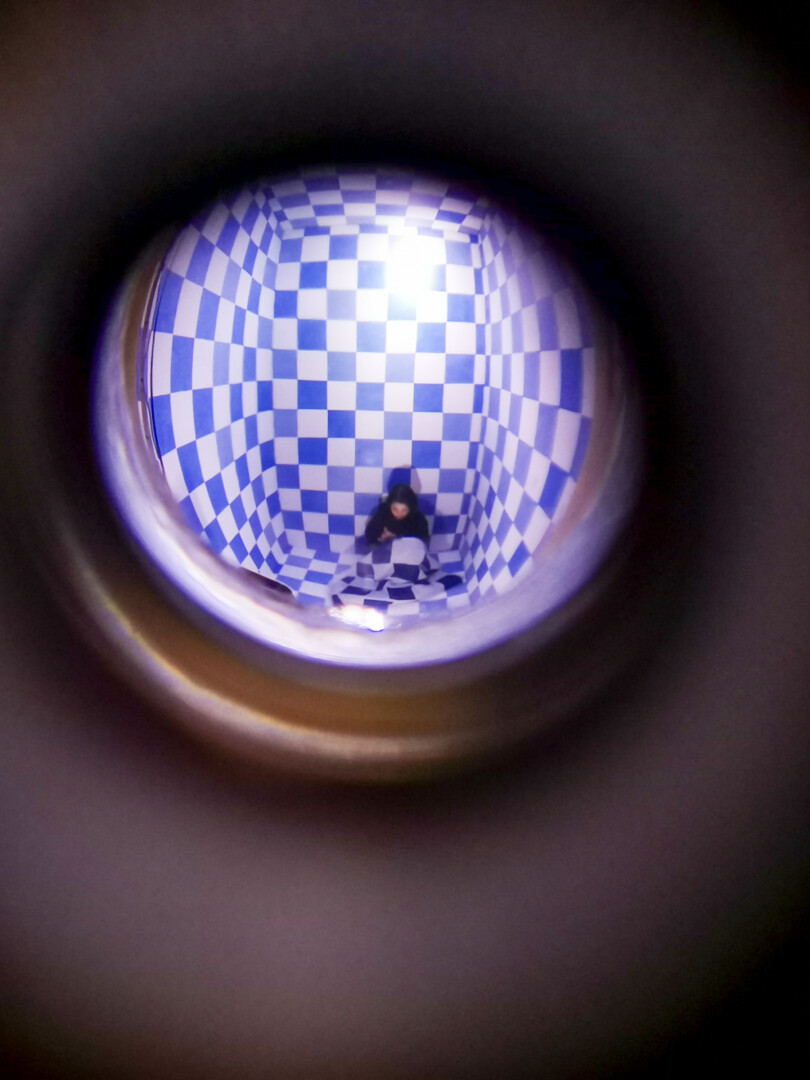 Žinoma menininkė, Dailės akademijos dėstytoja M. Dirsytė yra atlikusi daug performansų ir sulaukusi ne vien malonių situacijų, bet dėl to į teisėsaugą niekada nesikreipusi. P. Židonio nuotr.