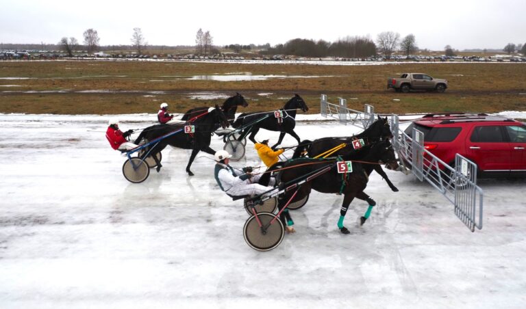 Nepaisant nepalankių oro sąlygų, Dusetose praūžė garsiosios žirgų lenktynės „Sartai 2024“, o jose triumfavo Panevėžio rajono vadeliotojas Alvydas Banėnas.