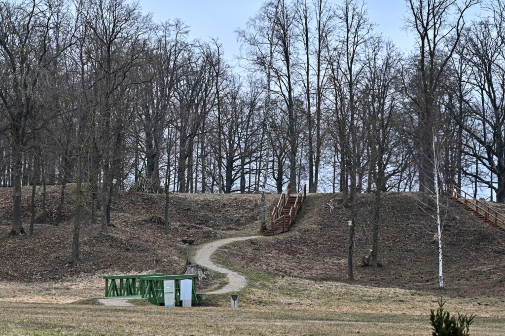 Panevėžio rajone, Čičinsko kalno prieigose sumaniusi statyti paminklą Lietuvos žemdirbiui, rajono Savivaldybė sulaukė keturių menininkų pasiūlymų.