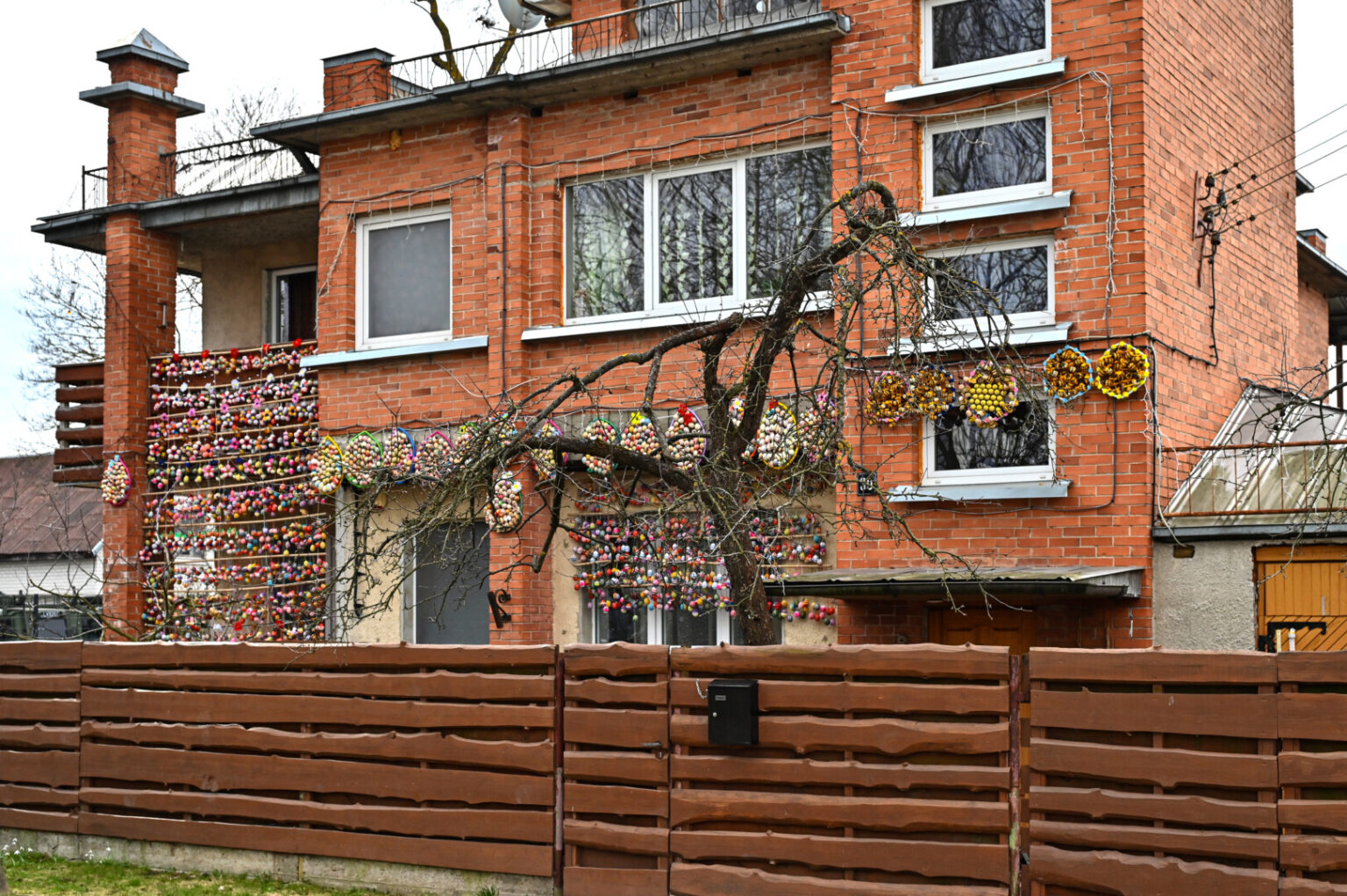 Panevėžietės Aldonos Ladavičienės namą Vydūno gatvėje jau beveik savaitę puošia tūkstančiai įvairiaspalvių margučių.