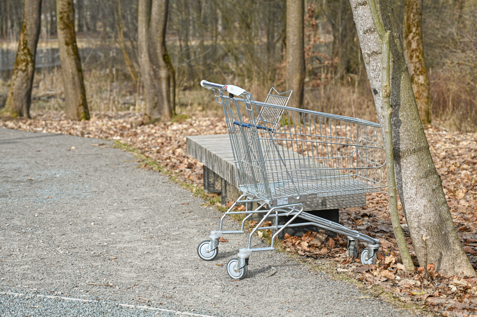 Skaistakalnio parke vaikštinėję panevėžiečiai buvo pakraupę, kai gauja nevaldomų paauglių daužė žaidimų aikštelės inventorių, smūgiavo, šokinėjo ir dar viską filmavo. P. ŽIDONIO nuotr.