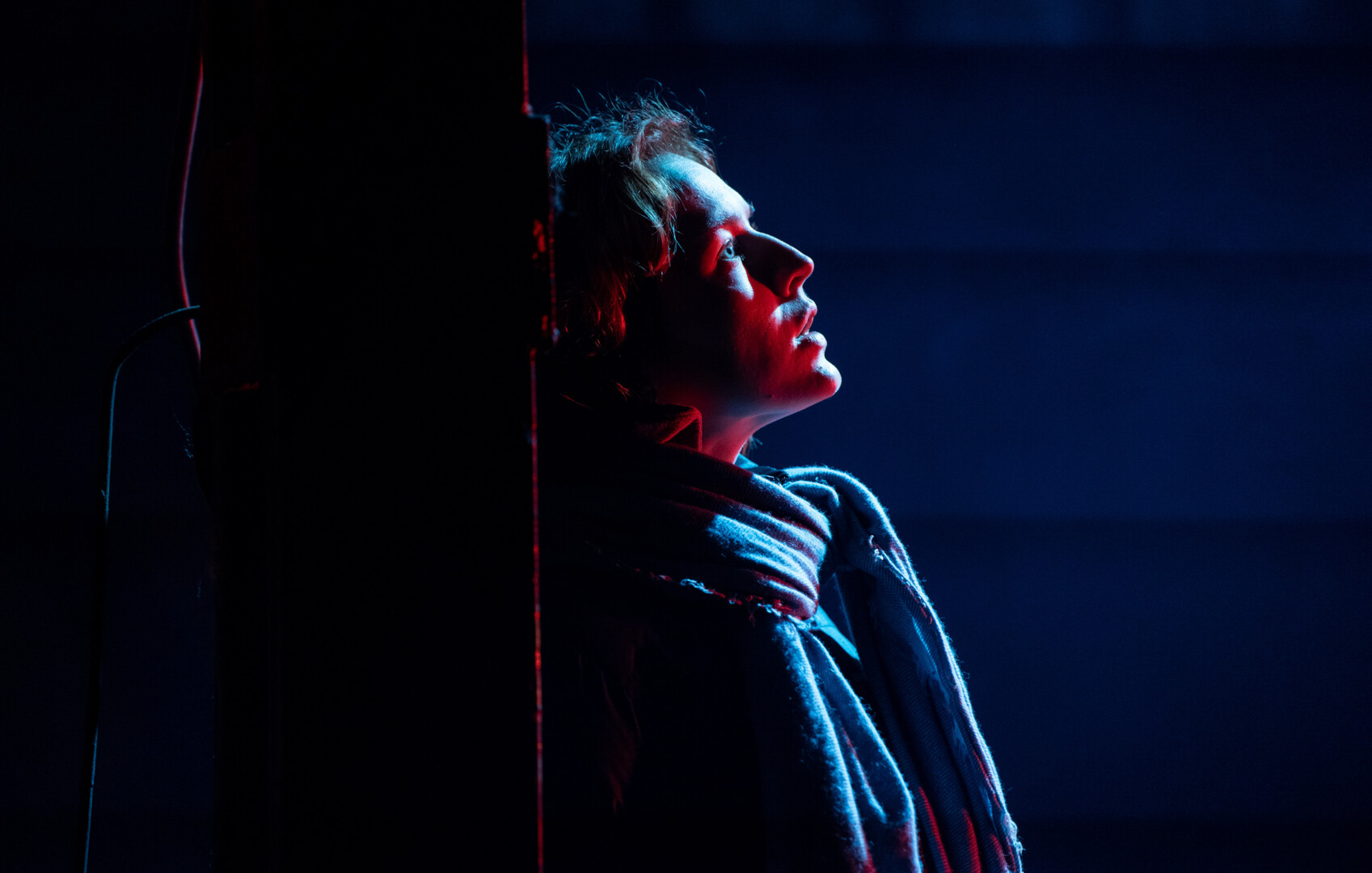 Irena Sikorskytė. Arvydo GUDO nuotr.