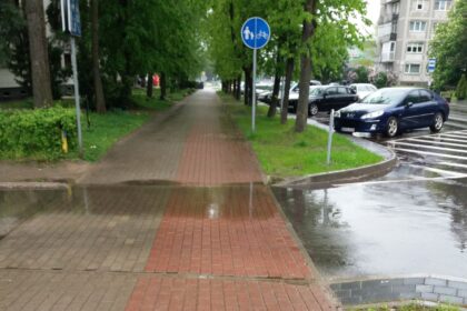 Prapliupus lietui Parko gatvės gyventojai nesusilaiko nepaburnoję dėl kelininkų darbų kokybės.