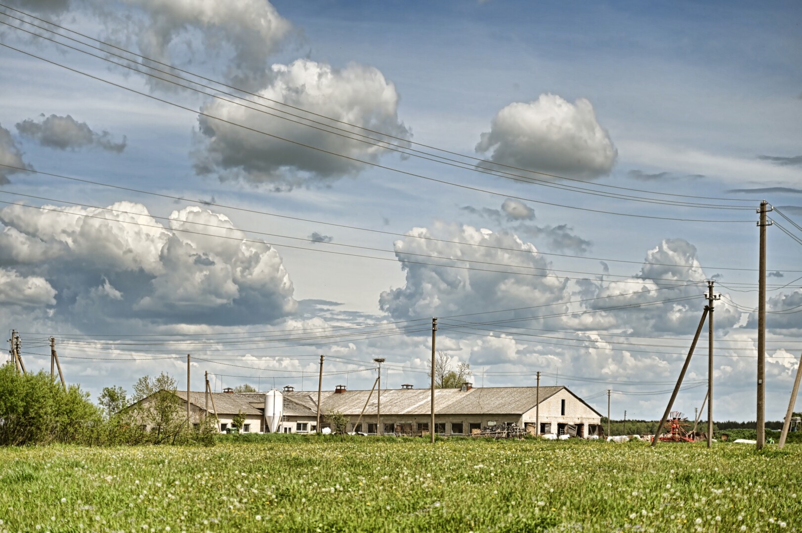 Sodelių gyventojai sukrėsti: dvi savaites ieškota iš namų išėjusi garbaus amžiaus moteris rasta mirusi netoli savo namų stūksančių fermų teritorijoje. G. KARTANO nuotr.