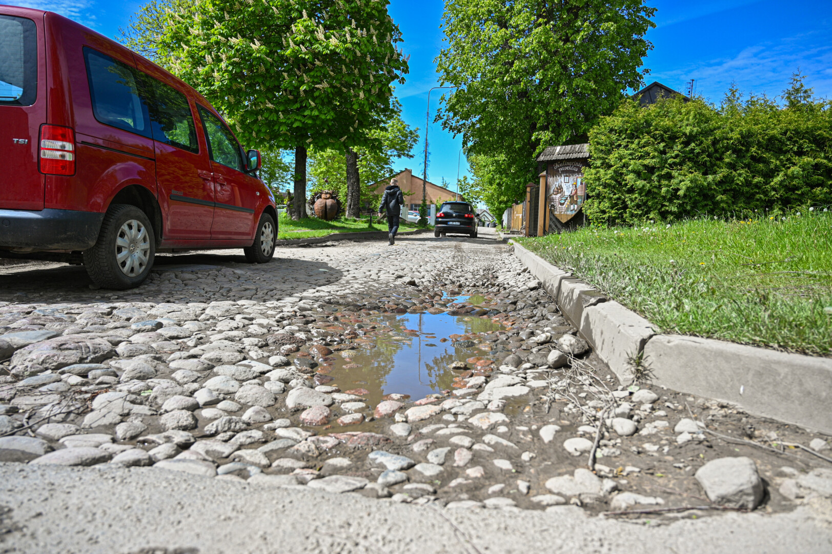Akmenimis grįsta Birutės gatvele apžiūrėti legendinio raktų medžio traukiantys turistai priversti bristi per dumblyną. P. ŽIDONIO nuotr.