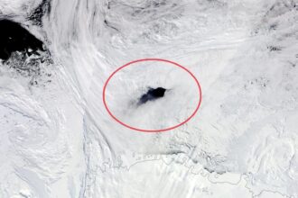 Antarkties ledynas ištisus metus patiria reikšmingų pokyčių. Kai kurios jo anomalijos nebuvo paaiškintos kelis dešimtmečius.