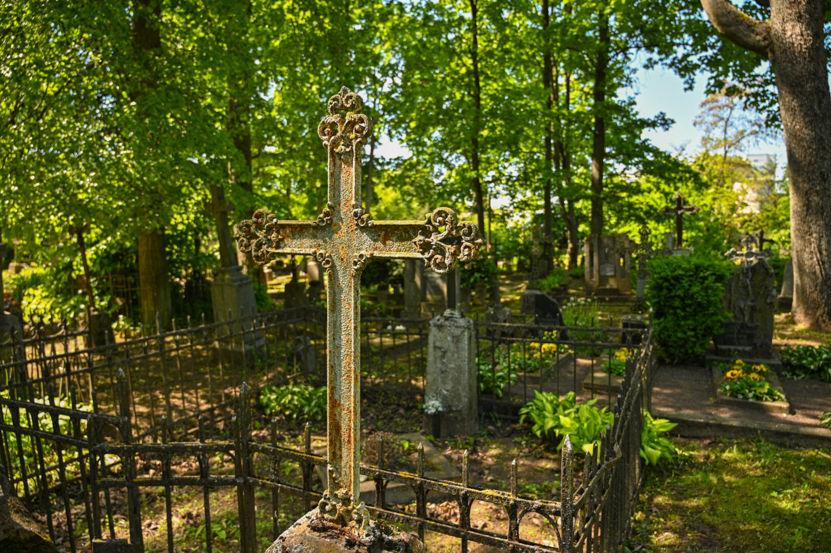 Šių istorinių kapinių žemėje ilsisi kadaise gyvenusieji, dirbusieji ir kūrusieji Panevėžyje ir Panevėžiui. P. ŽIDONIO nuotr.