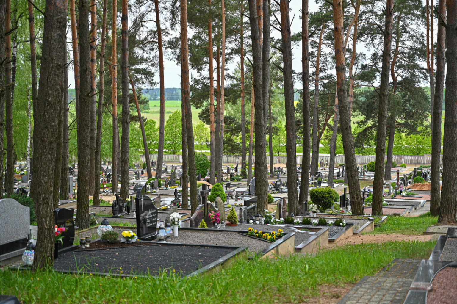 Nors kapinės – mirusiųjų poilsio vieta, jų kapus lankantieji Panevėžio savivaldybės prašo suoliukų trumpam atsikvėpti.