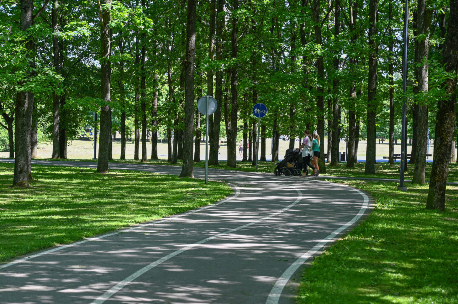 Panevėžio kultūros ir poilsio parke šalia ekstremalų aikštelės turėtų atsirasti nauja infrastruktūra dviračių sporto entuziastams – velotrasa.