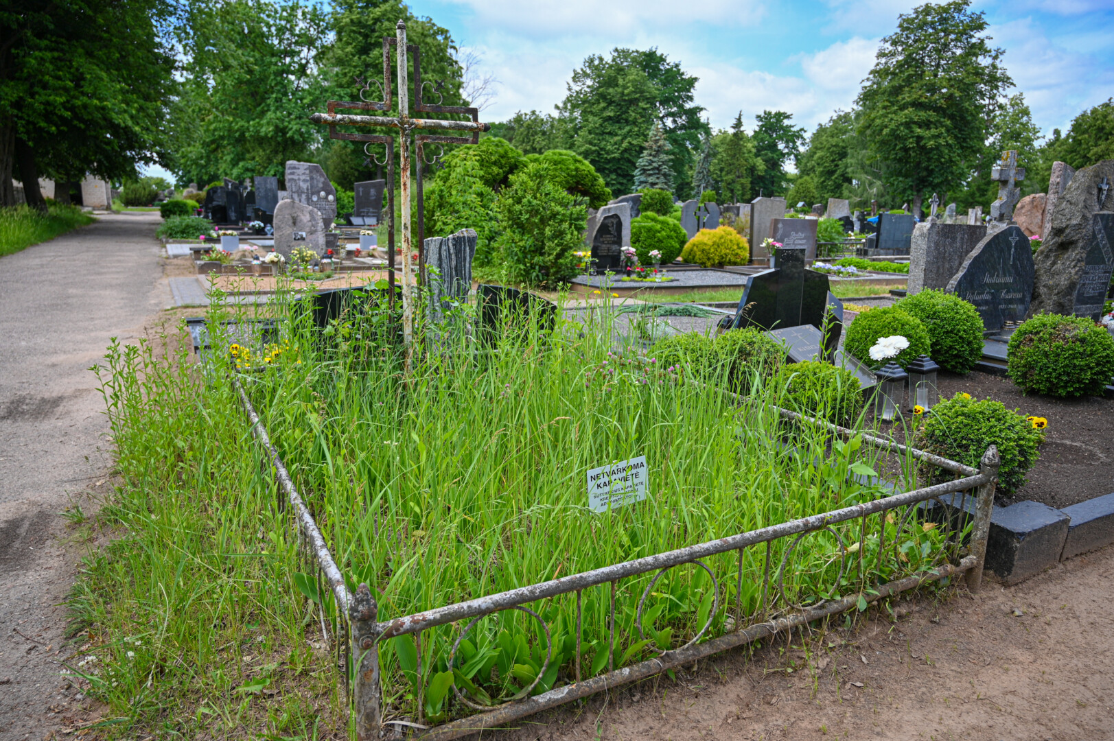 Dar lapkritį Panevėžio kapinėse ant apleistų kapaviečių atsirado ne vienam akis turėjusios pabadyti lentelės, mirusiųjų artimiesiems primenančios, kad ši amžino poilsio vieta netvarkoma. P. ŽIDONIO nuotr. 