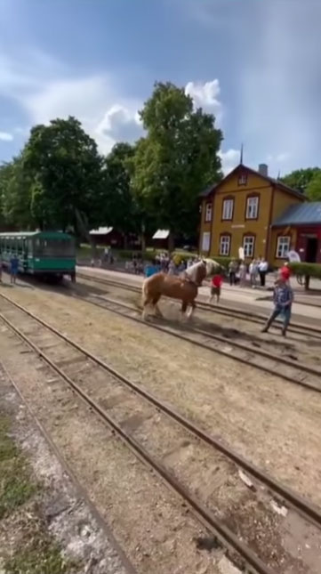 Sustabdytas kadras iš L. Fergizo vaizdo įrašo