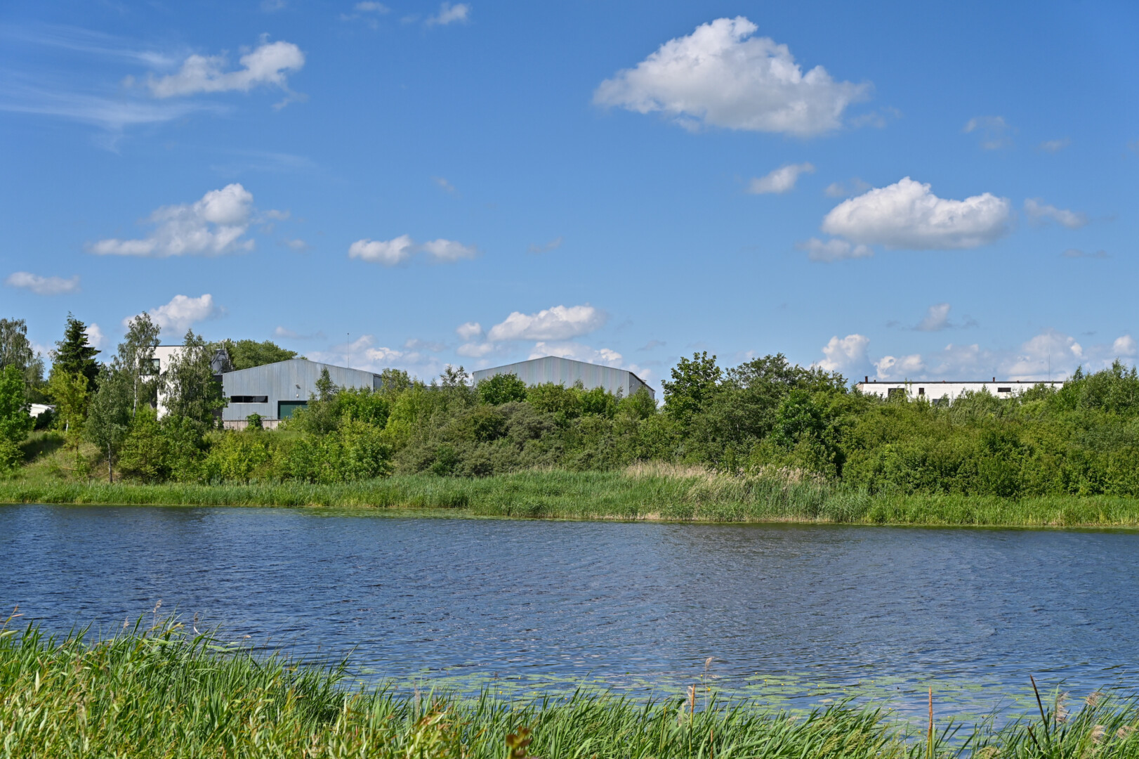 Nudistams skirta kelių arų teritorija prie marių, atokiau nuo esamo paplūdimio ir žmonių akių. G. KARTANO nuotr.