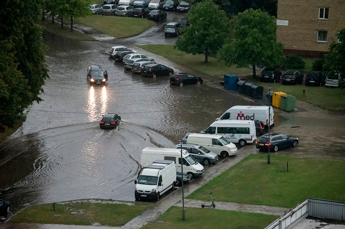 Gedimino VIKSVOS, Manto LELIUKO ir socialinių tinklų nuotraukos