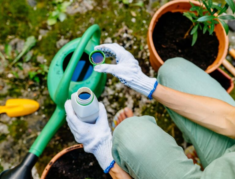 Trąšos greitai paruošiamos, paprastos, bet veiksmingos.