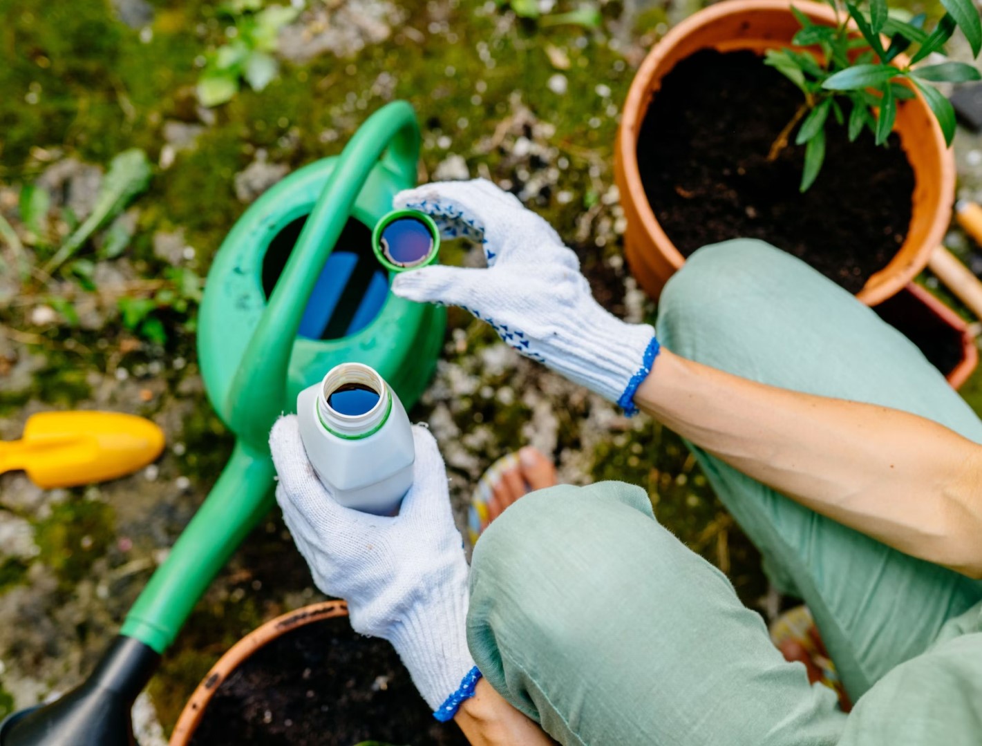 Trąšos greitai paruošiamos, paprastos, bet veiksmingos.