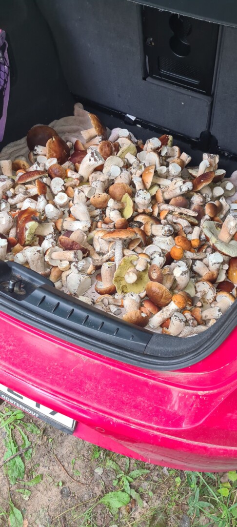 Asmeninio archyvo nuotr.