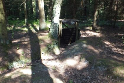 Ginkluoto pasipriešinimo sovietams kovas menantiems paminklams siūloma užtikrinti teisinę apsaugą.