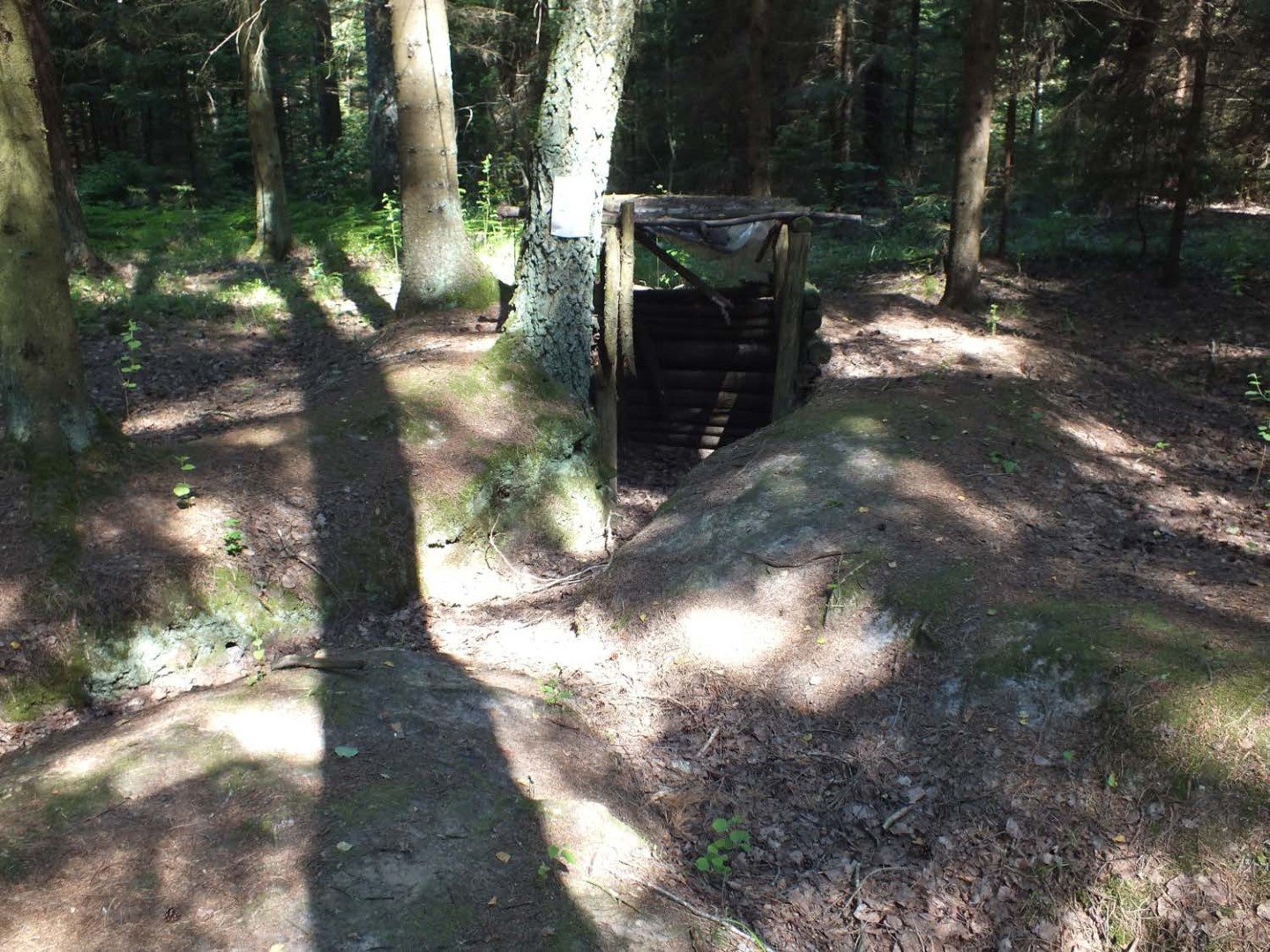 Ginkluoto pasipriešinimo sovietams kovas menantiems paminklams siūloma užtikrinti teisinę apsaugą.