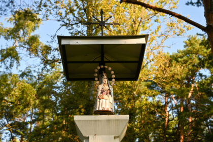 Jau šio mėnesio pabaigoje į posėdį susirinkę paveldosaugininkai dar kartą sugrįš prie Panevėžyje prieš keletą metų daug dėmesio sulaukusios sovietų aukų kapavietės Rožyno mikrorajone, A. Baranausko pušynėlyje, klausimo.