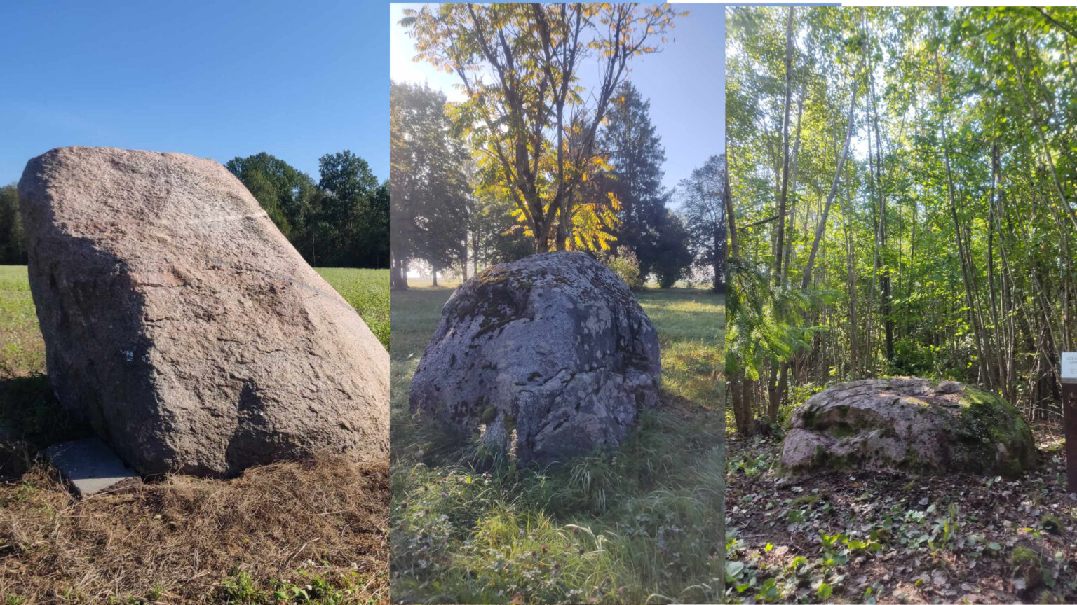 Nebūdamas ne tik kalnų, akmenynų, bet ir kalvų kraštas, Panevėžio rajonas visgi turi ne vieną išskirtinį akmenį.