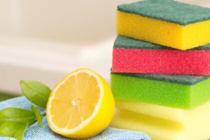 Virtuvinės kempinėlės nyksta indaplovių amžiuje, tačiau jos vis dar užima svarbią vietą mūsų gyvenime. Kaip teisingai jas naudoti?