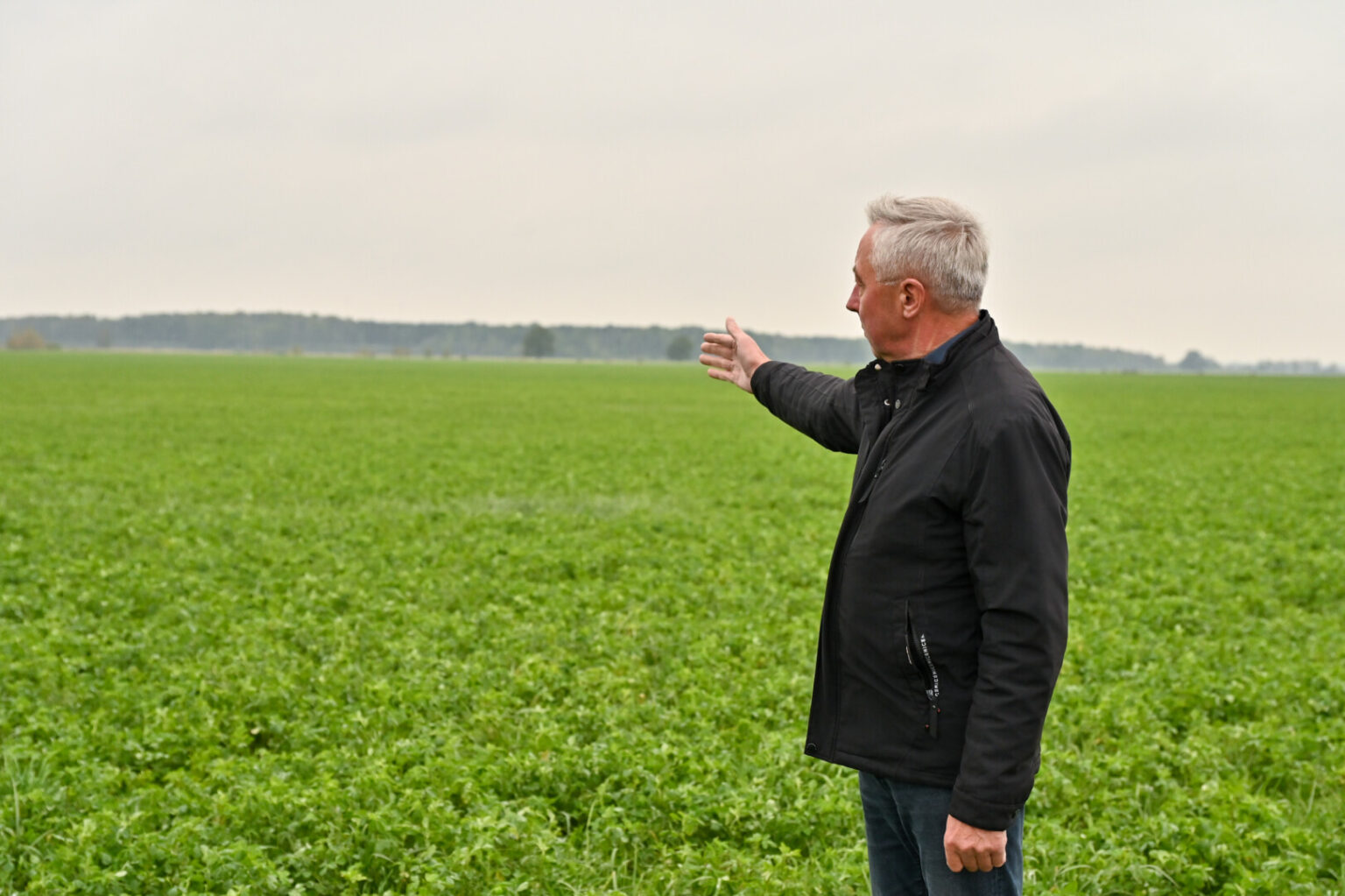 Siekdama pritraukti naujų galimų užsienio investuotojų į šalies gynybos pramonę, Vyriausybė nusprendė rezervuoti tris sklypus Panevėžio rajone – beveik 300 hektarų valstybinės žemės.