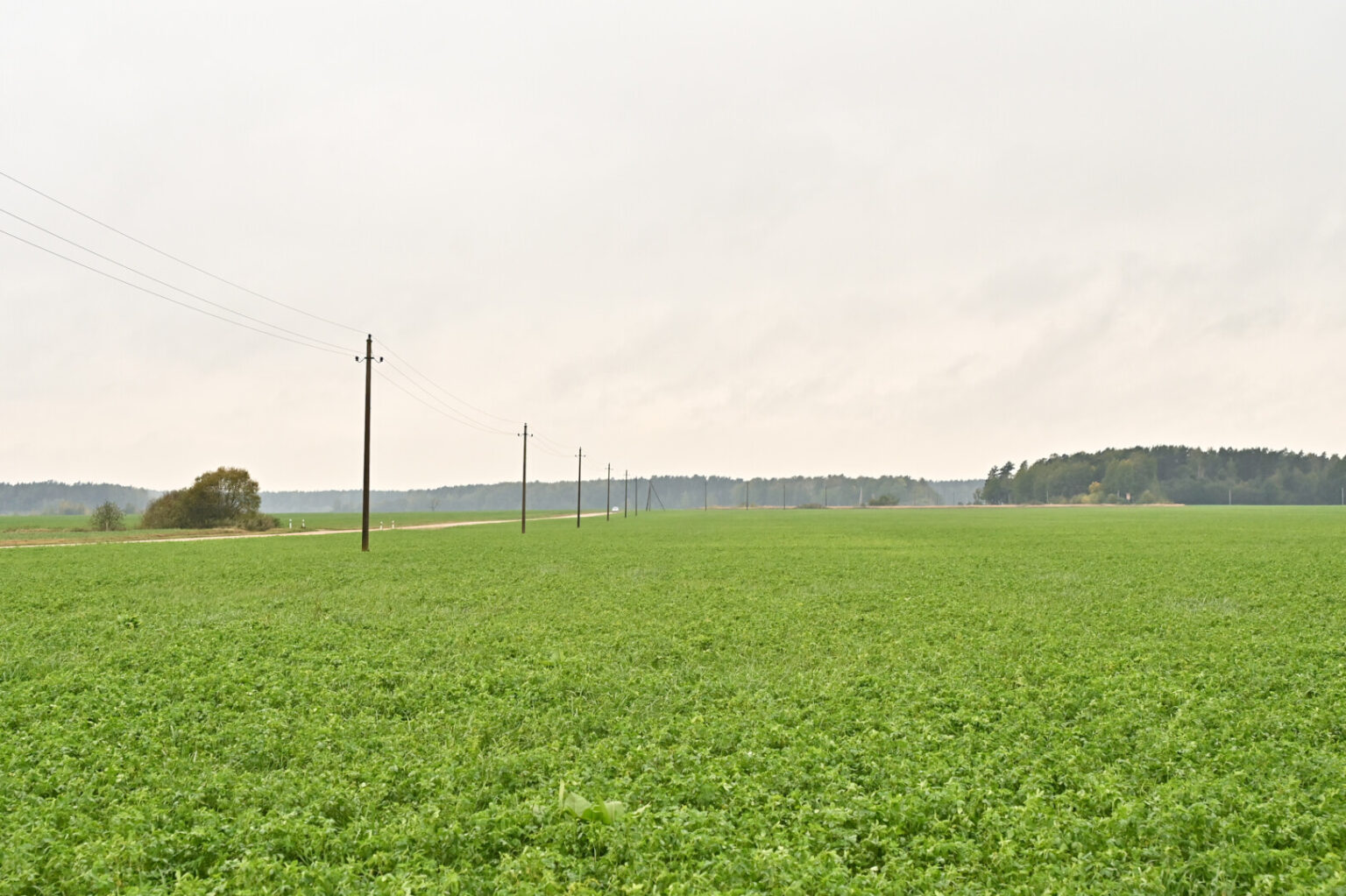 Visą straipsnį skaitykite spalio 11 dienos (penktadienio) „Sekundės“ laikraštyje. Prenumeruokite https://prenumerata.sekunde.lt/ – yra ir PDF formatu.