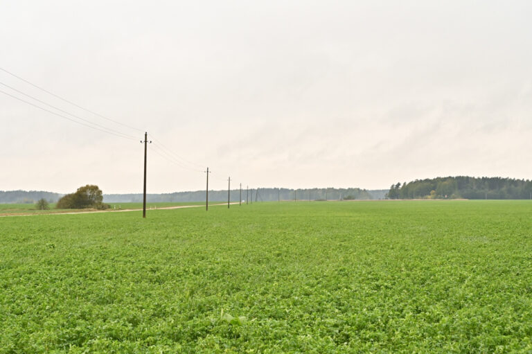 Visą straipsnį skaitykite spalio 11 dienos (penktadienio) „Sekundės“ laikraštyje. Prenumeruokite https://prenumerata.sekunde.lt/ – yra ir PDF formatu.