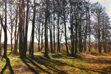 Panevėžio pašonėje besiglaudžiančiuose Berčiūnuose ir prieš šimtus metų virė gyvenimas.