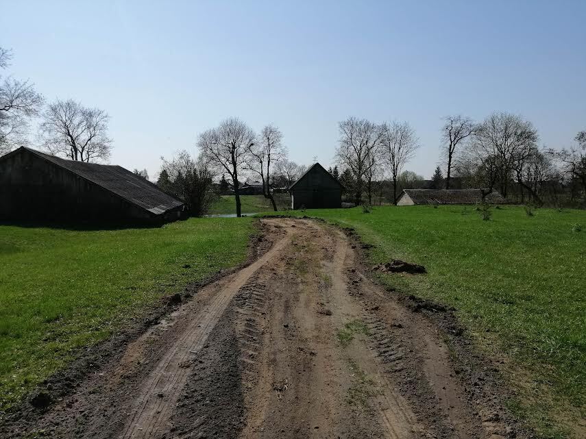 Kelias, vedantis link to, kas likę iš Linkaučių dvaro. V. RAUBIENĖS nuotr.