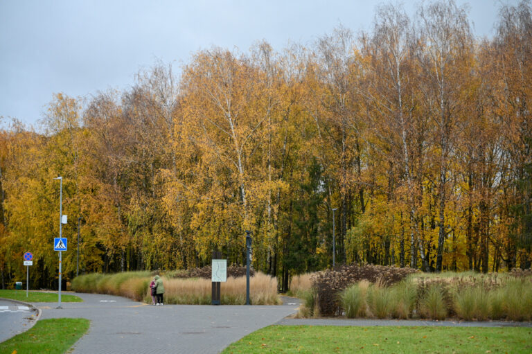 Kuo arčiau žiema, tuo dažniau mieste pokši garsinės petardos. Tik ne visuomet tokia vaikų ar jaunuolių pramoga baigiasi vien ausiai nemaloniu triukšmu.