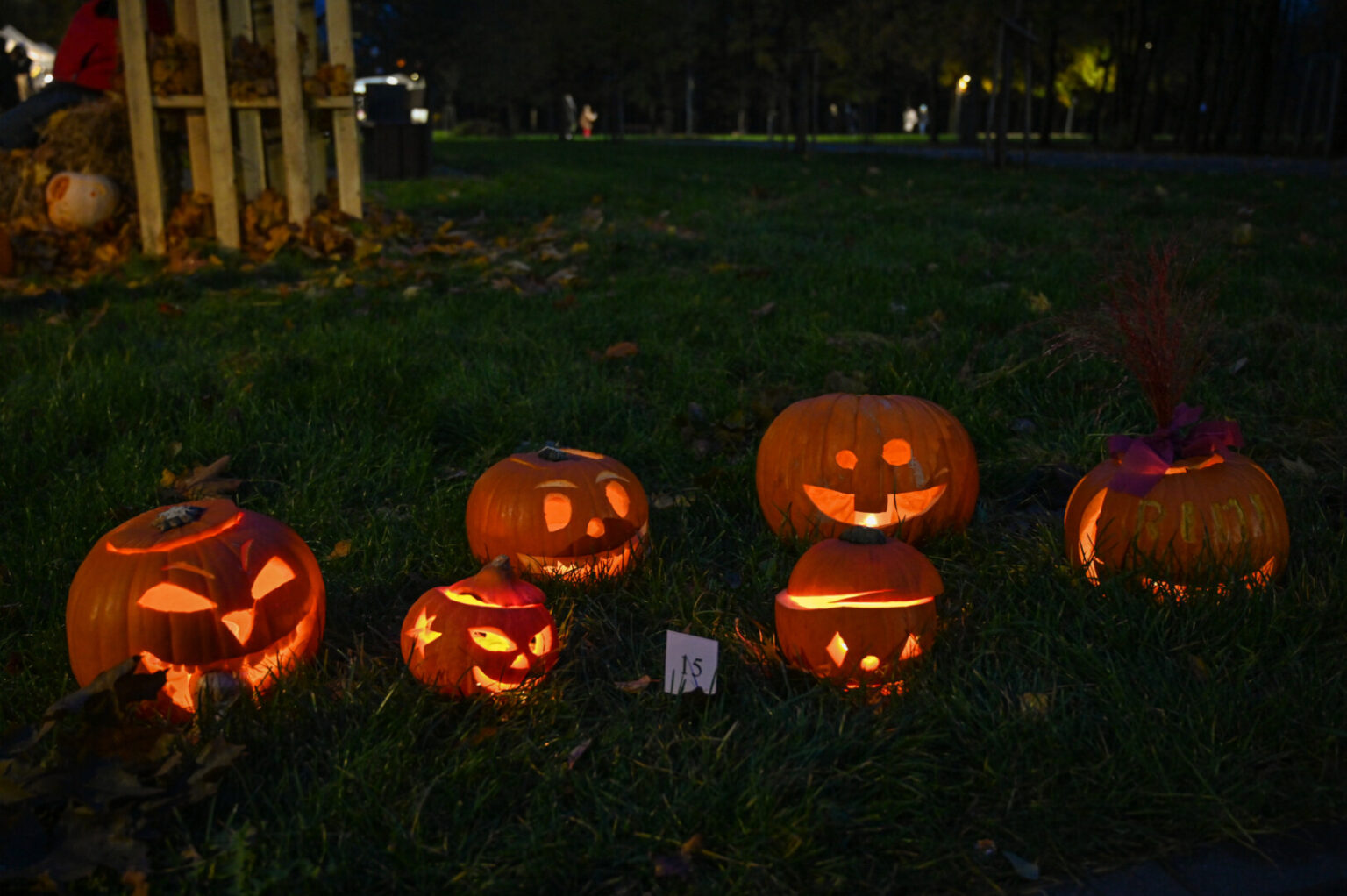 Panevėžiečiai jau ruošiasi drožinėtais oranžiniais pūstažandžiais moliūgais padabinti Kultūros ir poilsio parką.