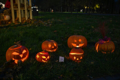 Panevėžiečiai jau ruošiasi drožinėtais oranžiniais pūstažandžiais moliūgais padabinti Kultūros ir poilsio parką.