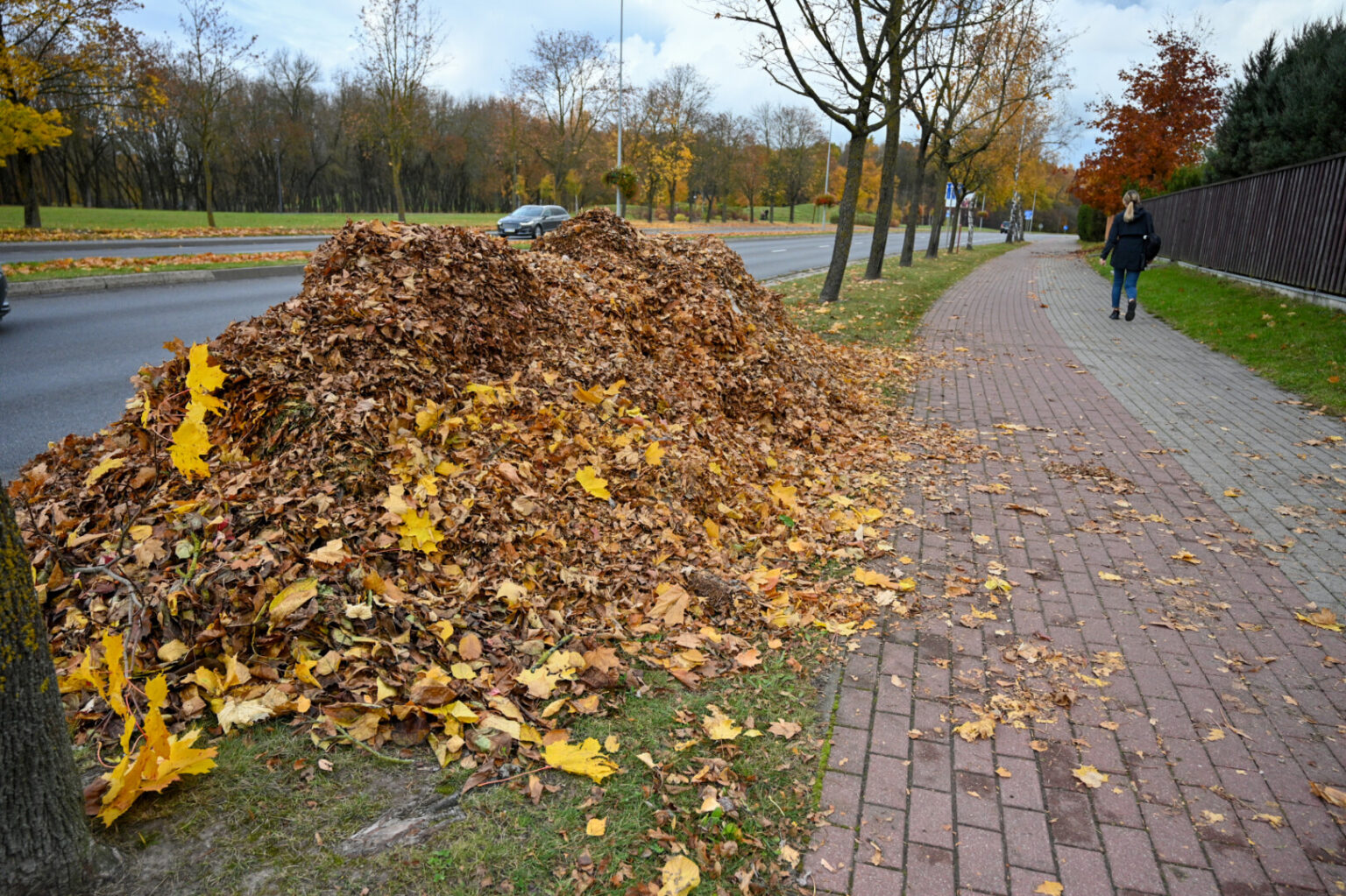 Nors atliekų vežėjų statistika rodo, kad per pastaruosius trejetą metų Panevėžyje sumažėjo nelegalių sąvartynų, prasidėjus lapų kritimo pikui mieste tradiciškai išauga šiukšlių kalnai.