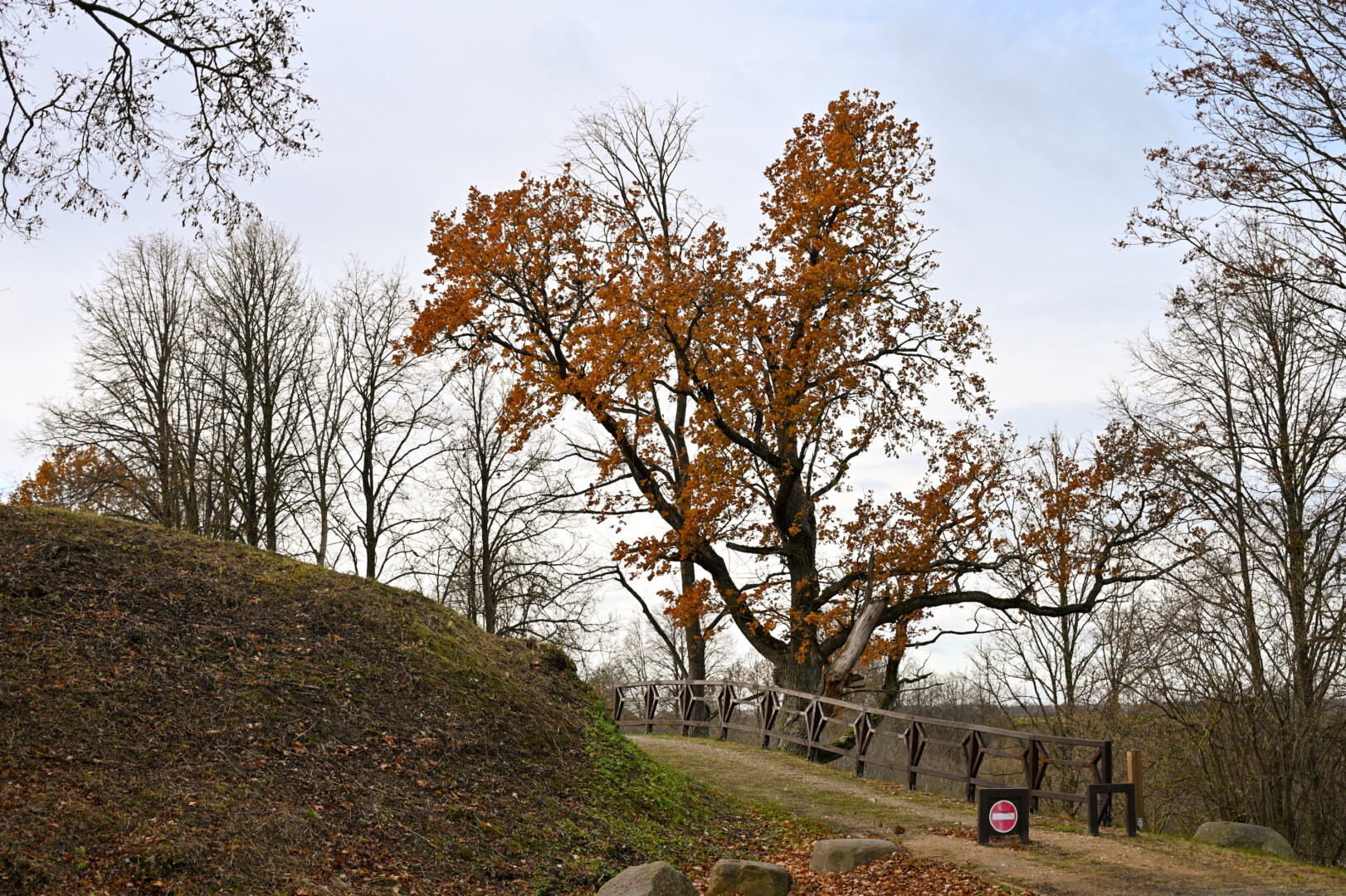 Bakainių piliakalnis – ne tik vienas iš Krekenavos regioninio parko perlų, bet ir vertinga viso krašto puošmena, įrašyta į trisdešimties pačių įspūdingiausių Lietuvos piliakalnių sąrašą. P. ŽIDONIO nuotr.
