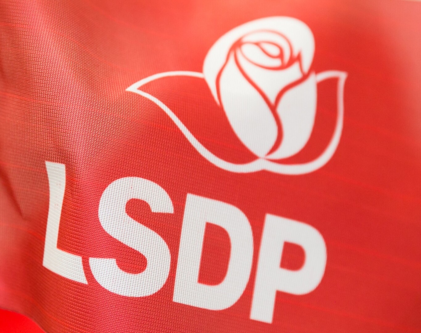 Socialdemokratų taryba šeštadienį pritarė koalicinei sutarčiai su Demokratų sąjunga „Vardan Lietuvos“ ir partija „Nemuno aušra“.