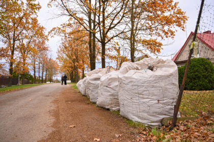 Panevėžio rajono Perekšlių kaimo gyventoja į devintą dešimtį įkopusi Ona Kundrotienė, išgirdusi per radiją transliuojamą populiarią dainą „Žemėj Lietuvos ąžuolai žaliuos“, skuba išjungti aparatą, nors pati gyvena Ąžuolų gatvėje.