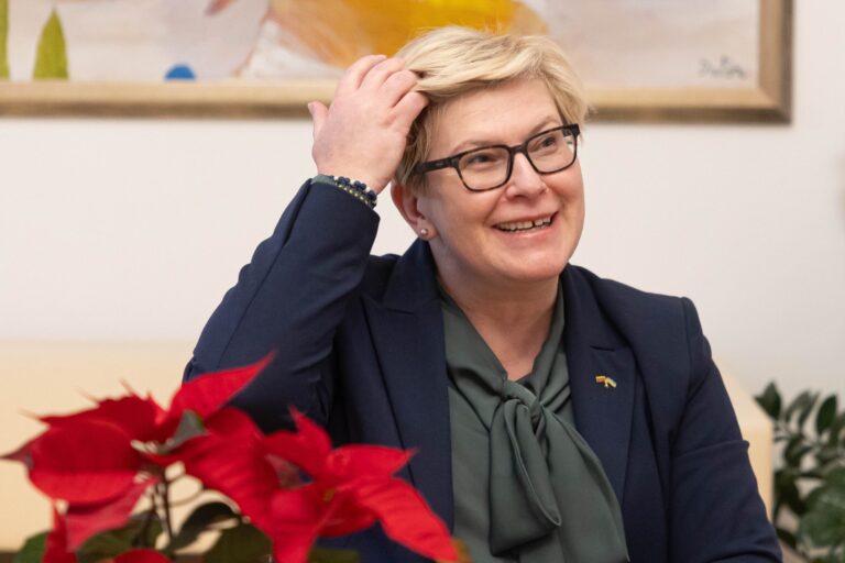 Ekspremjerė Ingrida Šimonytė nusprendė nekandidatuoti į Tėvynės Sąjungos sąjungos-Lietuvos krikščionių demokratų (TS-LKD) pirmininkus.