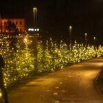 Artėjant Kalėdoms Panevėžyje daugėja eglių ir šviesų.