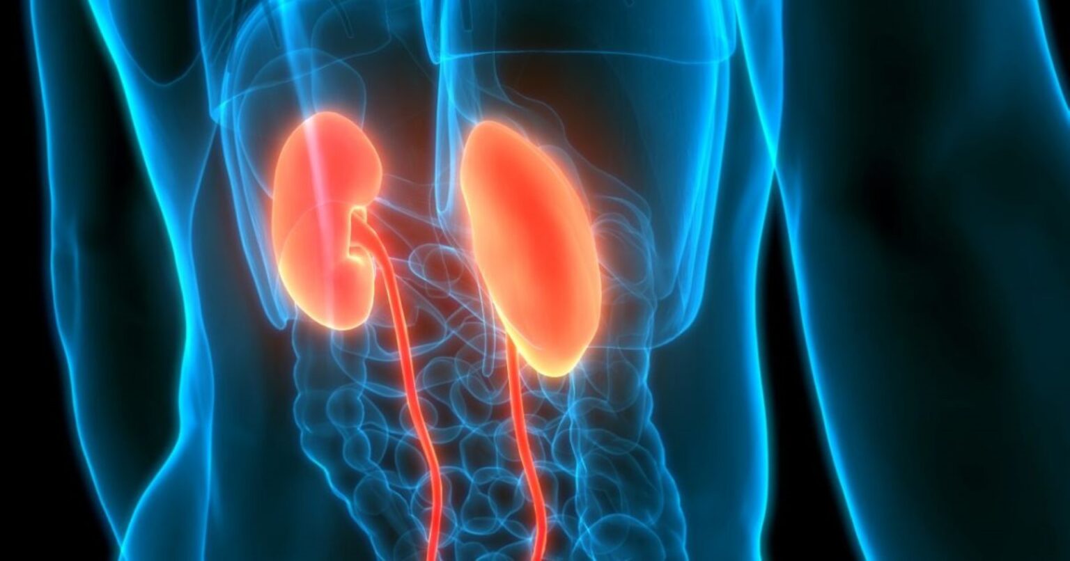 Gydytojai Jungtinėse Valstijose pacientei sėkmingai transplantavo kiaulės inkstą.