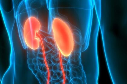 Gydytojai Jungtinėse Valstijose pacientei sėkmingai transplantavo kiaulės inkstą.