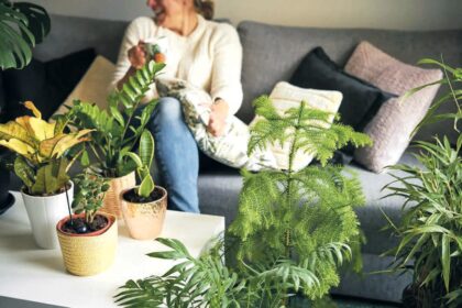 Geriausi kambariniai augalai psichinei sveikatai – ir fizinei taip pat.