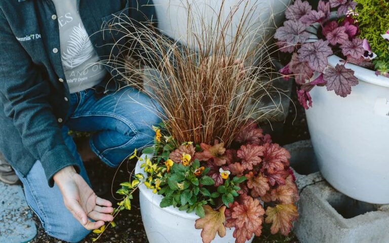 Madingiausia šių metų spalva, skirtingai nei pernykštė ar užpernykštė, taps nemenku iššūkiu norintiesiems surinkti tiek žydinčių augalų, kad užpildytų visą gėlyną.