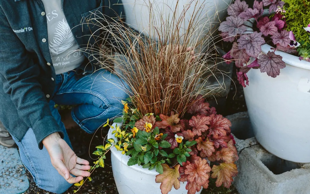 Madingiausia šių metų spalva, skirtingai nei pernykštė ar užpernykštė, taps nemenku iššūkiu norintiesiems surinkti tiek žydinčių augalų, kad užpildytų visą gėlyną.