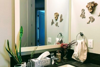 Svajonė apie žaliuojančias oazes savo namuose dažnai susiduria su apribojimais, ypač kalbant apie patalpas be natūralaus apšvietimo.