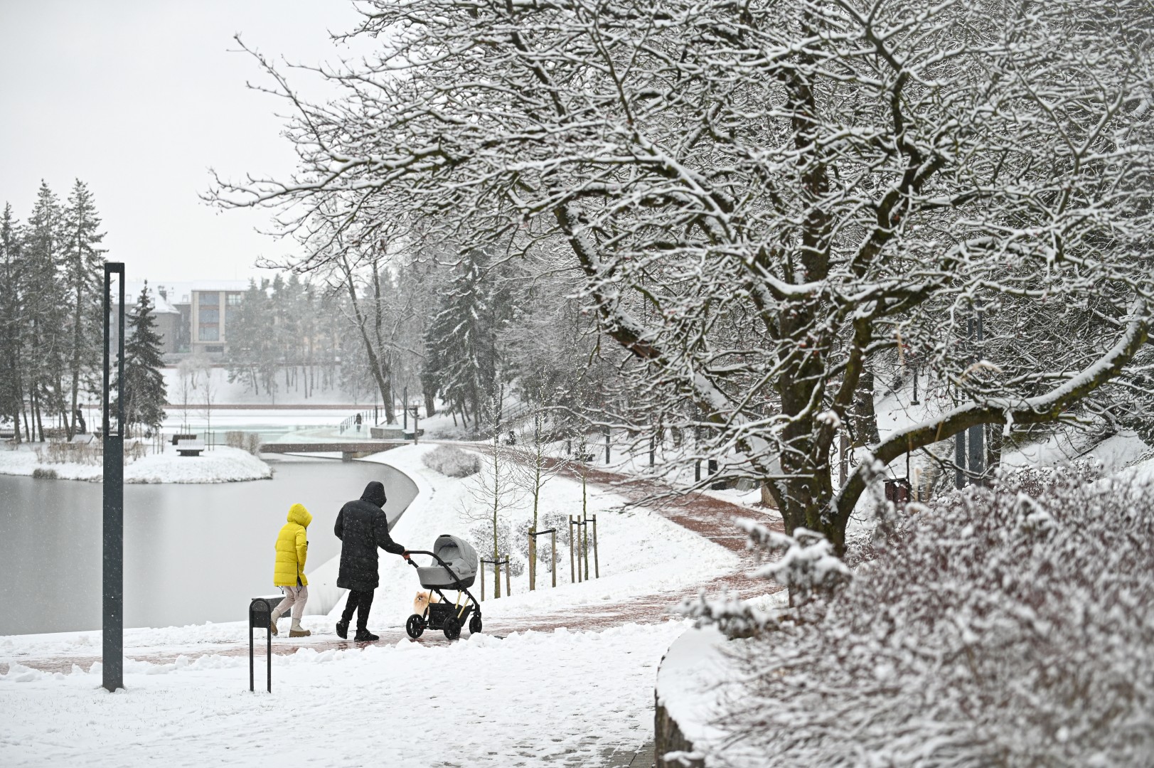 Aukštaitijos sostinė šalyje išsiskiria ne atlyginimų augimu, o mažėjančiu dirbančiųjų skaičiumi. P. ŽIDONIO nuotr.