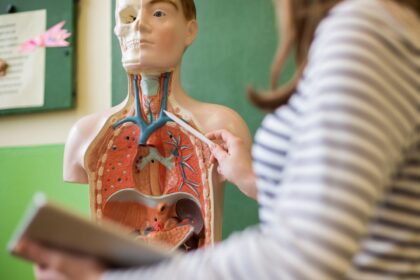 Daugeliui tai gali būti netikėta naujiena, tačiau kai kurie žmonės įsitikinę, kad žmogaus organizmas atsinaujina kas septynerius metus.