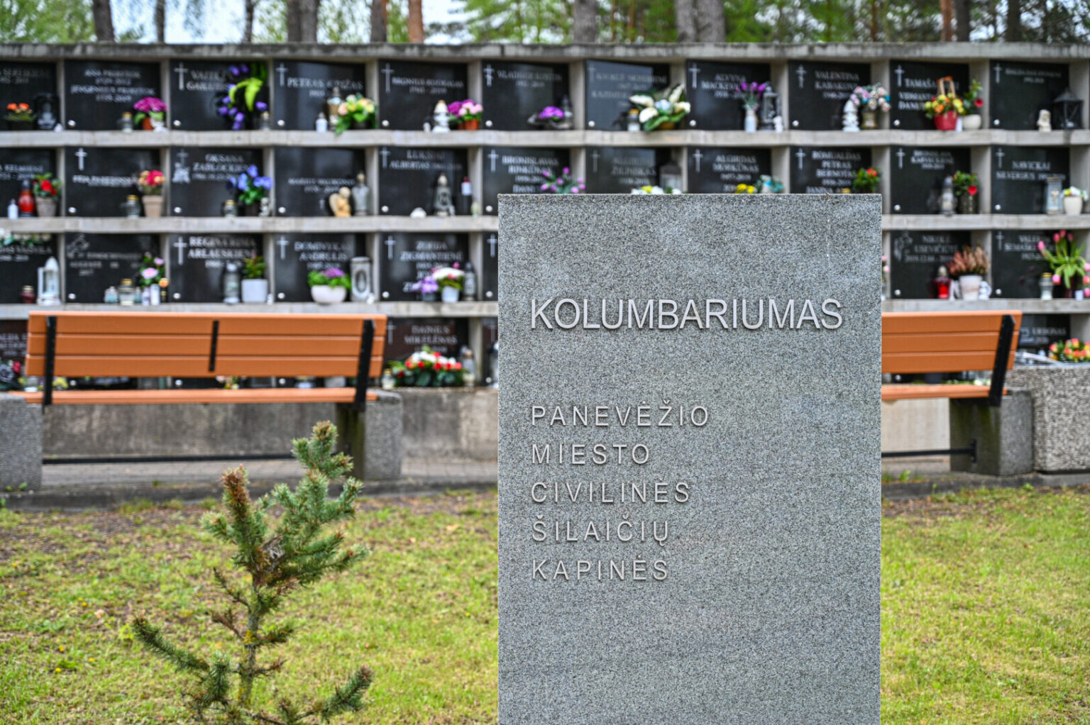 Seime gimė siūlymas dėl naujo laidojimo mokesčio – apmokestinti kolumbariumų nišas.