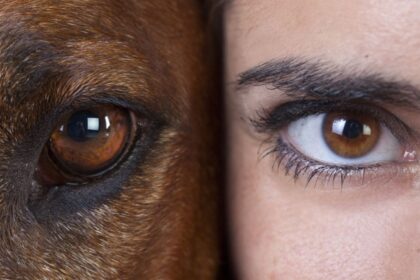 Jeigu kada nors susimąstėte, kaip pasaulį mato šunys, paukščiai ar žuvys, dabar yra proga įsitikinti: skirtingai nei mes.