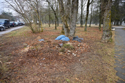 Pavasariui žengiant vis tvirtesniais žingsniais, panevėžiečiai gūžčioja pečiais mieste matydami dar nesugrėbtus pernykščius lapus.
